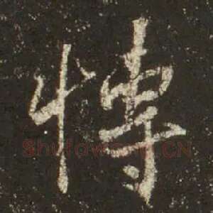 博