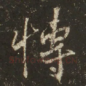 博