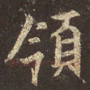 领