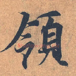 领