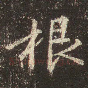 根