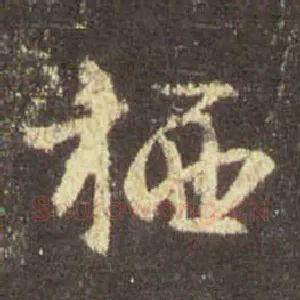 栖
