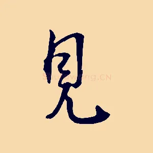 見