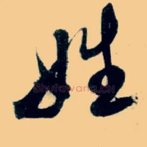 姓