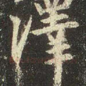 泽