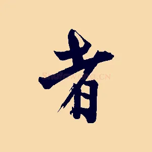 者