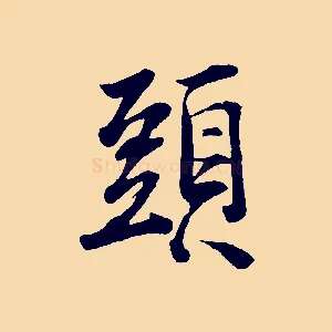 頭