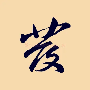 發