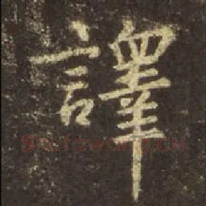 译