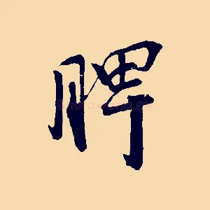 脾
