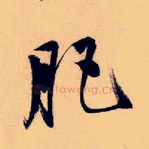肥