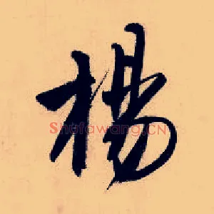 杨