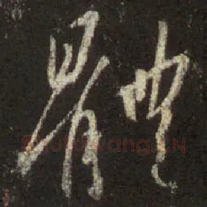 体