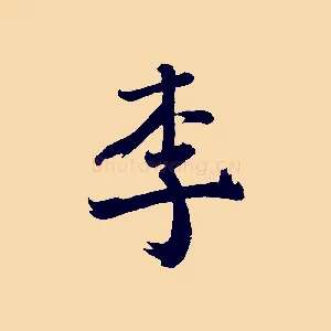 李