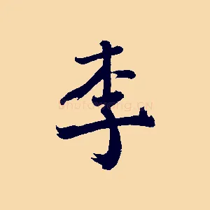 李