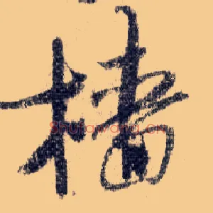 樯