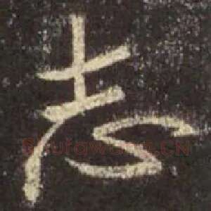 志