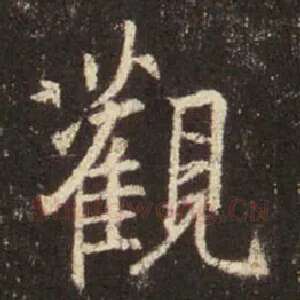 观