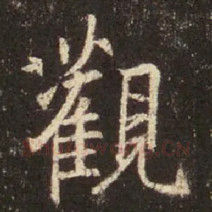观