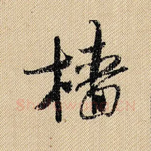 樯