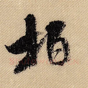 柏