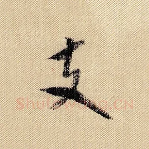 支