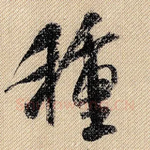 种