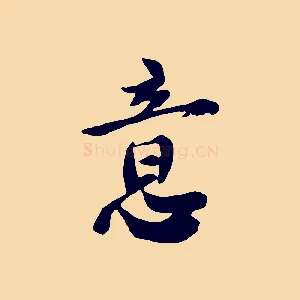 意