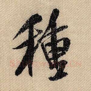 种