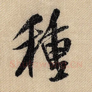 种