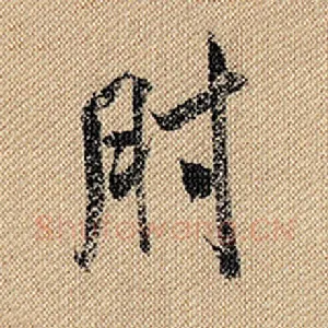 肘