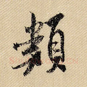 类