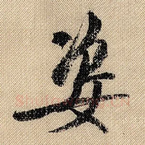 姿