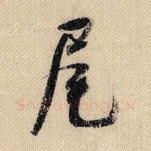 尾