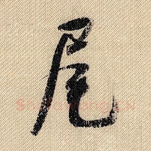 尾