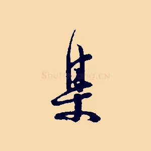 集