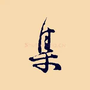 集