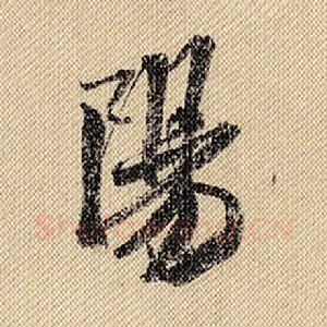 阳