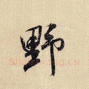 野