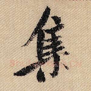集