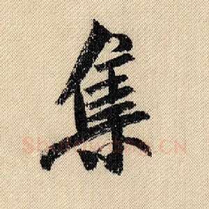 集