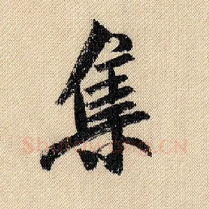 集
