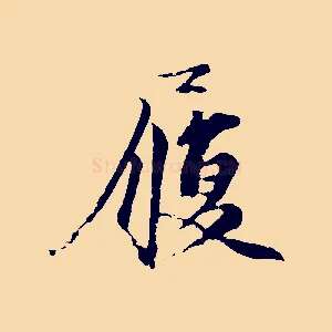 履
