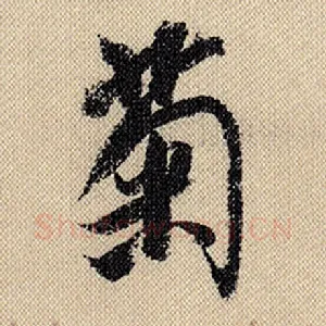 菊