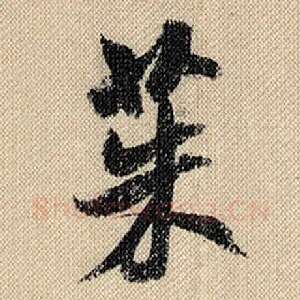 茱