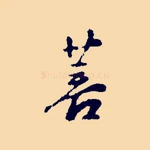 菩