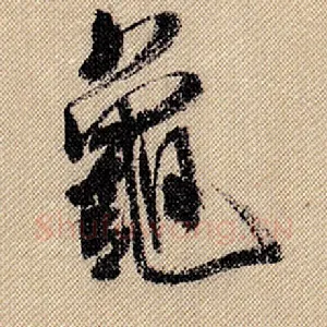 龟
