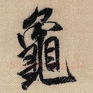 龟