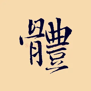 體