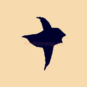 十